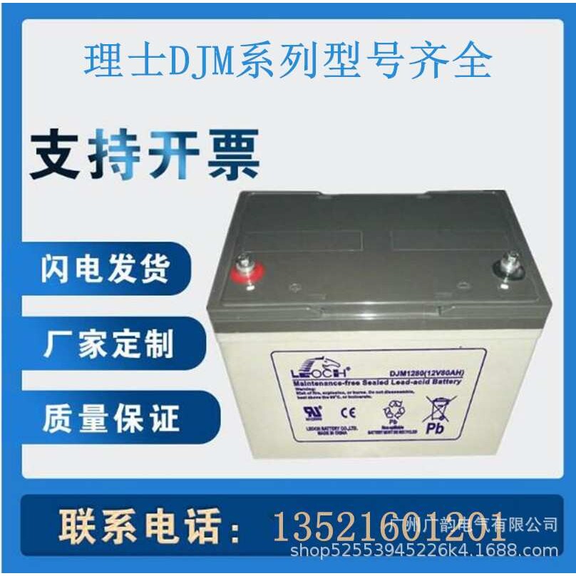 淮阳理士蓄电池DJM12100S 理士免维护12v100ah 20HR ups eps用