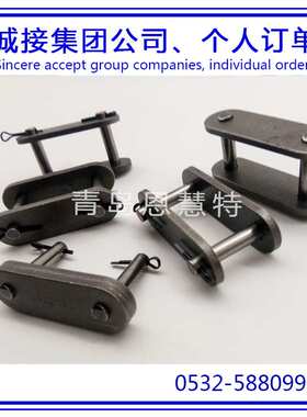 DBC东宝防锈滚子链条2040VRP 2050VRP 2060VRP滚子链条03