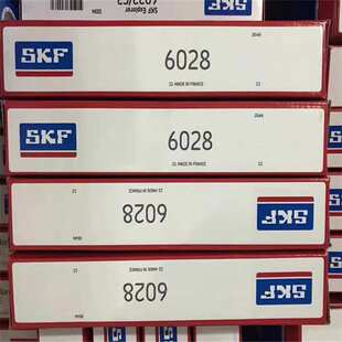 6028-2RS1 瑞典轴承 6026 6024 6022 6020 6019 6021 6018 2ZN RN