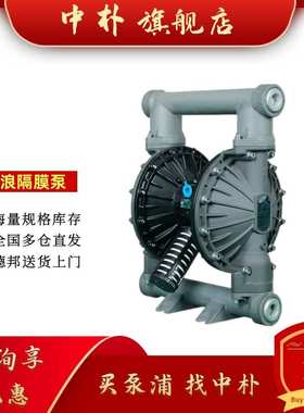 江浪气动隔膜泵RV12001/RV11001/RV15A11 1/4寸化工污水泵