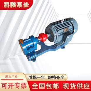 2CY高压齿轮泵头机油汽柴油抽油泵防爆强自吸高扬程电动循环油泵