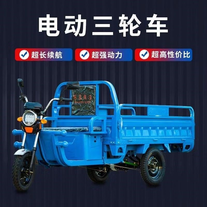 电动三轮车货车载货拉货王拉货农用电瓶车摆摊山区货运爬坡新款