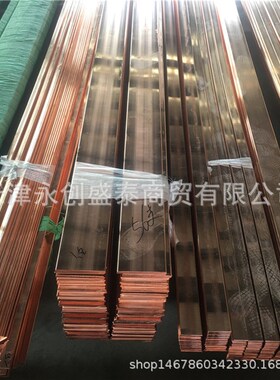 紫铜排6*50 6*60 6*70 6*80 6*100 6*120 6*125 6*140R角镀锡铜排