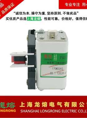 上海龙熔170M3392 1250V 300A 熔断器 直流熔芯 保险丝电子元器件