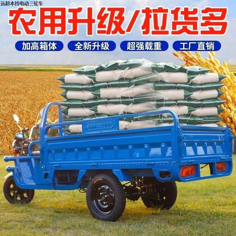电动三轮车拉货载重王电瓶车农用车摆摊车家用三轮车快递车新国标