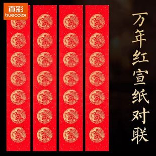 真彩对联万年红龙凤宣纸加厚纸张七言多规格大门装饰春节手写春联