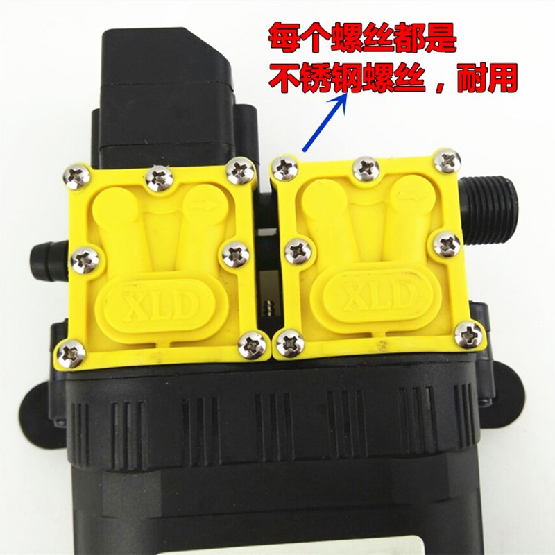 大功率12V双核动力水泵 农用电动喷雾器改装双泵高压 打药洗车