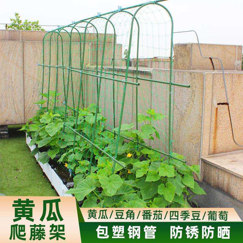 爬藤架园艺支架葡萄架黄瓜豆角拱攀爬形植物支架户外盆栽地插架子