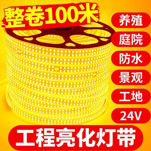 超亮led金黄光灯带工程亮化景观庭院220V外墙室外酒店KTV户外防外