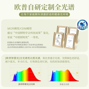欧普2025年新款静音卧室吸顶灯智能变频客厅饭厅隐形吊扇灯FS