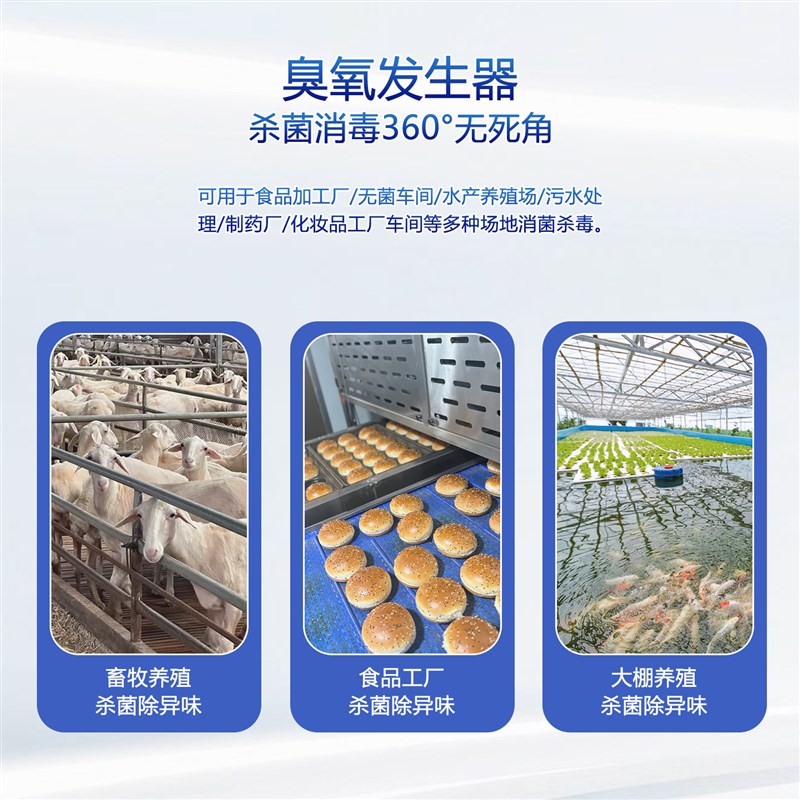 100G臭氧发生器 PLC智能控制系统消毒去除异味食品厂畜牧养殖