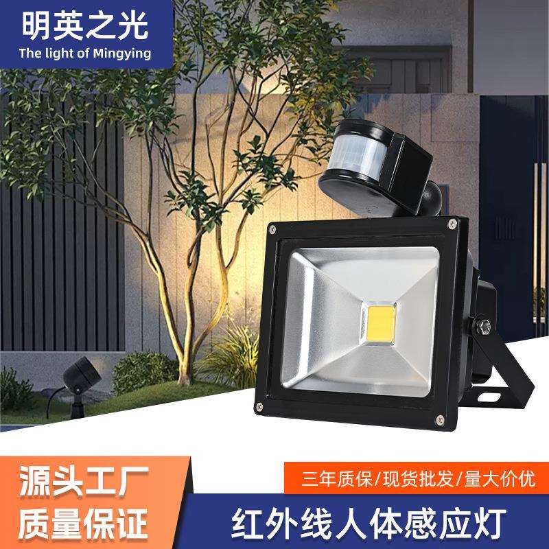 LED感应投光灯户外防水红外线人体智能感应泛光灯景观绿化照树灯