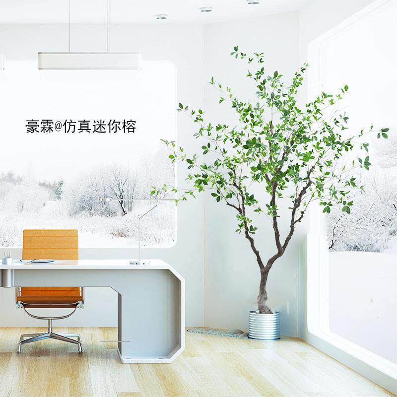 厂家橄榄树仿真迷你榕 室内装饰落地摆件景观假绿植工艺品