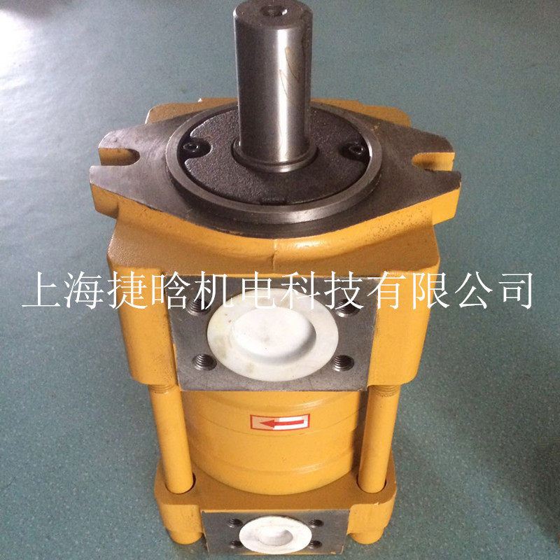 NTPUMP齿轮泵浦泵NT5-C160F直线共轭内啮合油泵