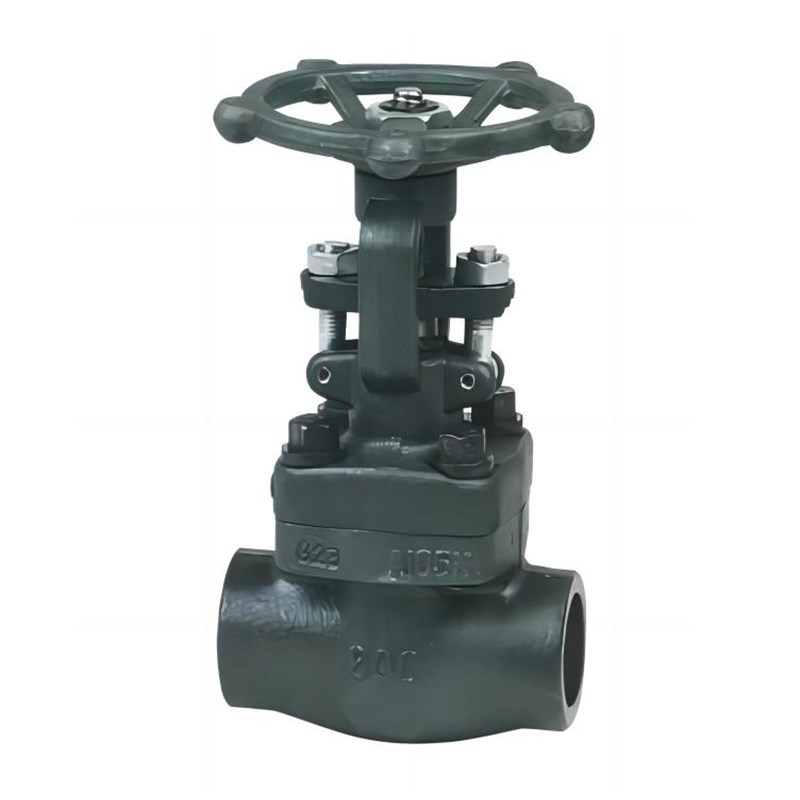 Z/J61H-16C/8y00LB锻钢内螺纹与承插焊闸阀