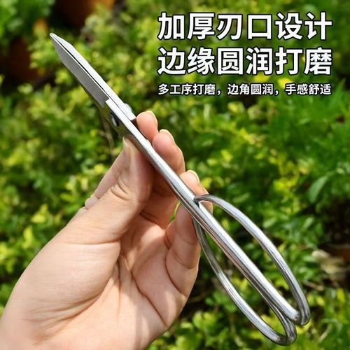 不锈钢叶芽剪盆景修剪花卉果树剪枝专用剪刀工具修枝枝叶剪园艺剪