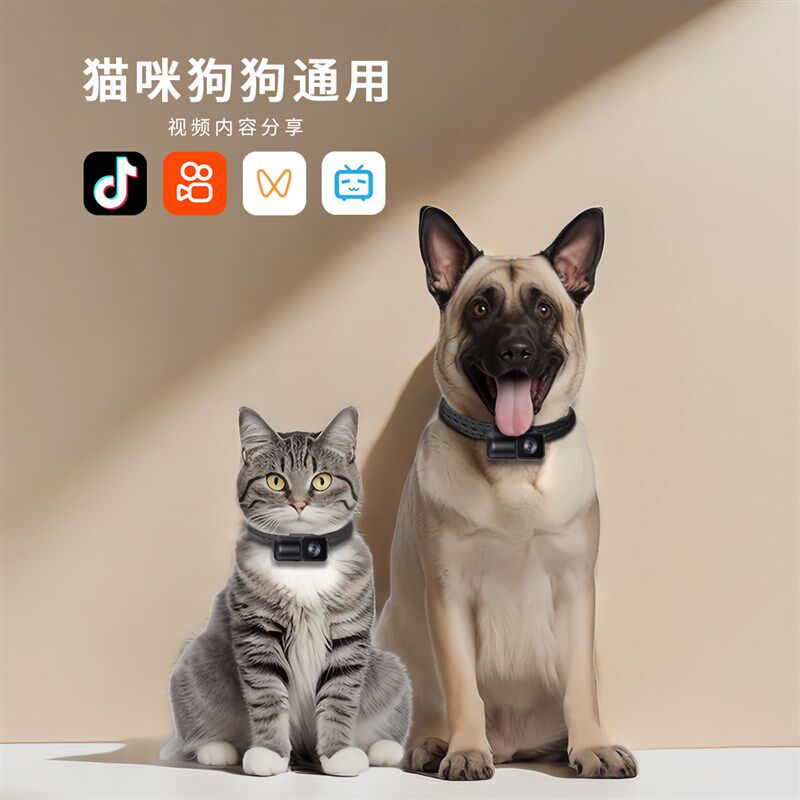 宠物猫咪狗狗视角wifi相机挂脖项圈摄像头无线记录仪猫用拍摄设备