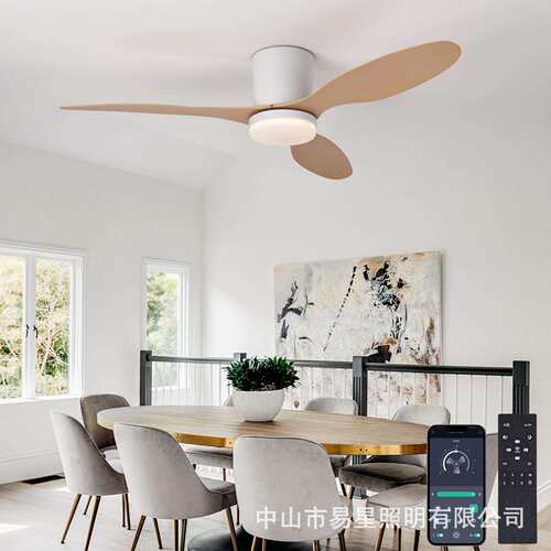 2025吊扇灯餐厅灯卧室灯办公室带风扇吊灯跨境专用三色变光吸顶灯