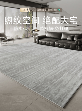 地毯客厅b2024新款轻奢高级家用灰色沙发茶几卧室床边地垫可擦免