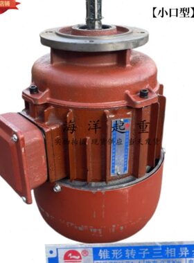 0电动葫芦转子21D-W4Z.8K 电机锥形跑车劲力Y 南京三相异步电动机