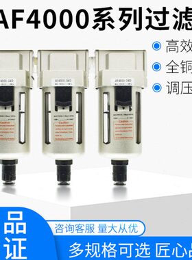 过滤器-F源辰 4-40AF级00D多  3气源处理器空气
