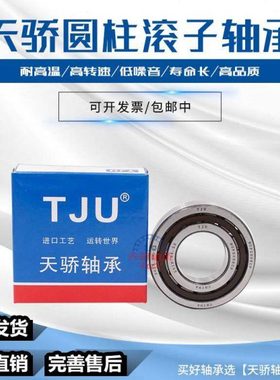 圆柱滚子轴承NJ416 417 418 419 420 422 424 426 428EM