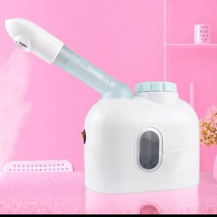 包邮泰东中草药熏蒸仪热喷美容仪蒸脸器美容仪负离子喷雾机熏眼仪