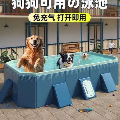 宠物狗狗泳池充气游泳夏天降温金毛边牧中大型狗洗澡浴盆