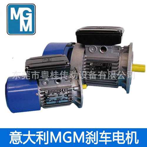 原装进口意大利MGM刹车电机
