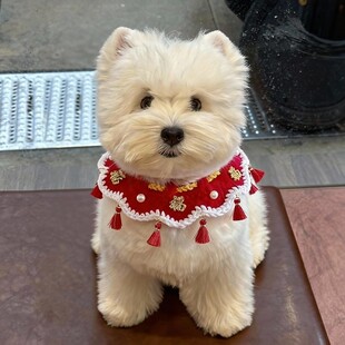 新年狗狗围脖小狗口水巾小配饰宠物围巾猫咪围脖过年装扮编织围兜