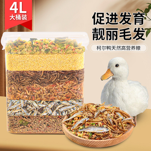 柯尔鸭粮食鱼干颗粒状4L大桶装鸭子鸟食柯尔鸭开口粮混合饲料