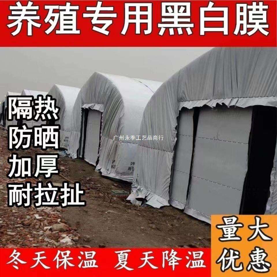 进口黑白膜加厚养殖大棚黑白膜反光隔热膜塑料布塑料布防冻保暖