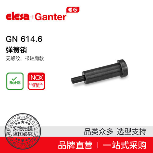 伊莉莎冈特无螺纹带轴肩弹簧销