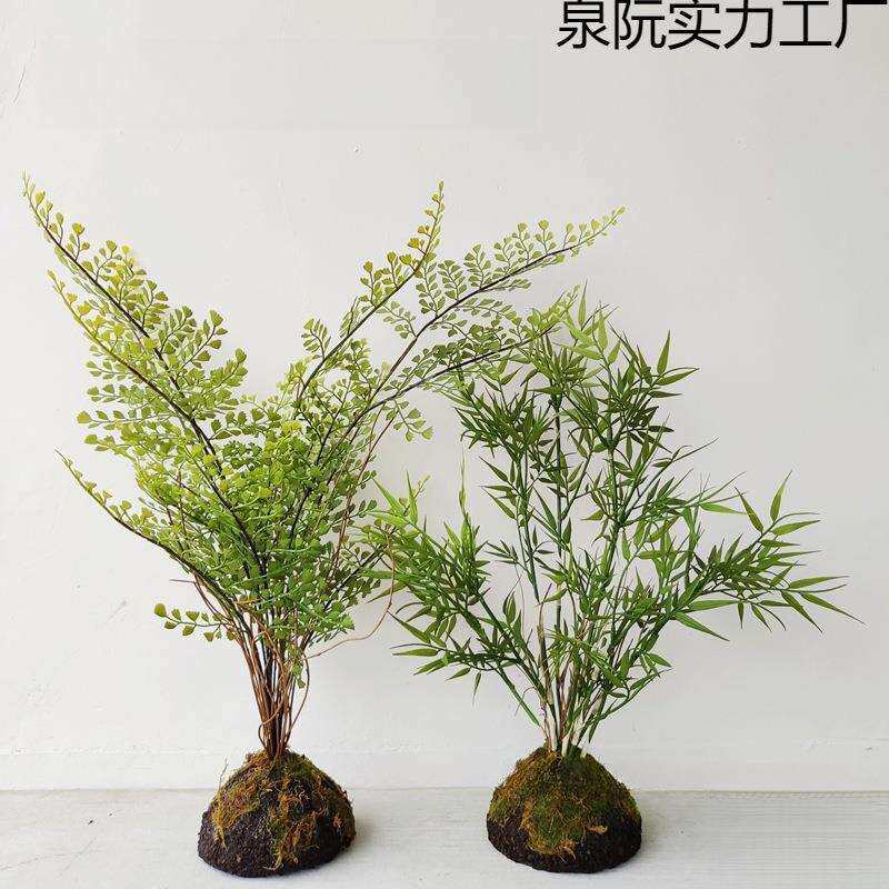 高级时尚蕨类植物盆栽蕨叶竹子盆栽景新中式样板房装饰茶室摆件