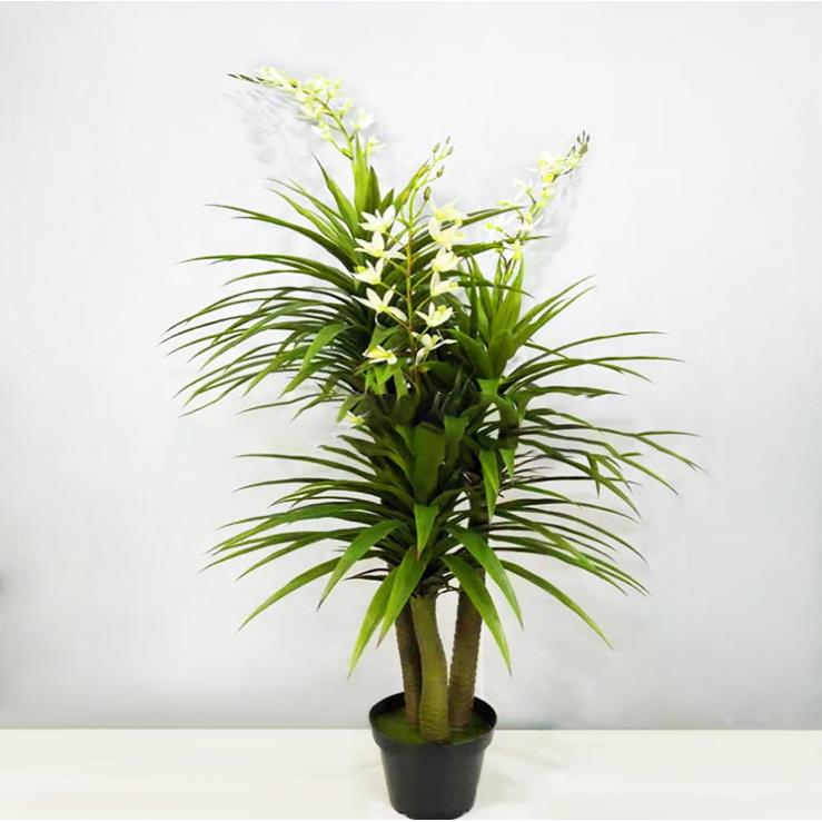 仿真宽叶龙须草 热带绿植灯芯草 盆景蓑草 盆栽拟金菜草 羊胡子草