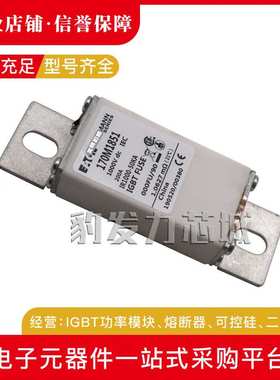 170M2682/2683/2684/2685/3808/3809/3810/3811/3812/3813熔断器