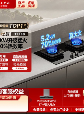 方太燃气灶TF29B燃气灶炉双灶家用嵌入式猛火一级能效燃气灶5.2KW