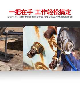 罗宾汉RUBICON RCH-17X19/17X21/19X22尖尾扳手羊角锤套筒 拔钉锤