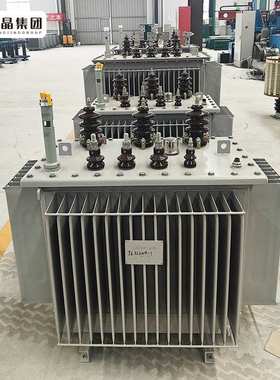 厂家 S20-M型6-10kv油浸式变压器800KVA1250KVA10KV电力铜芯