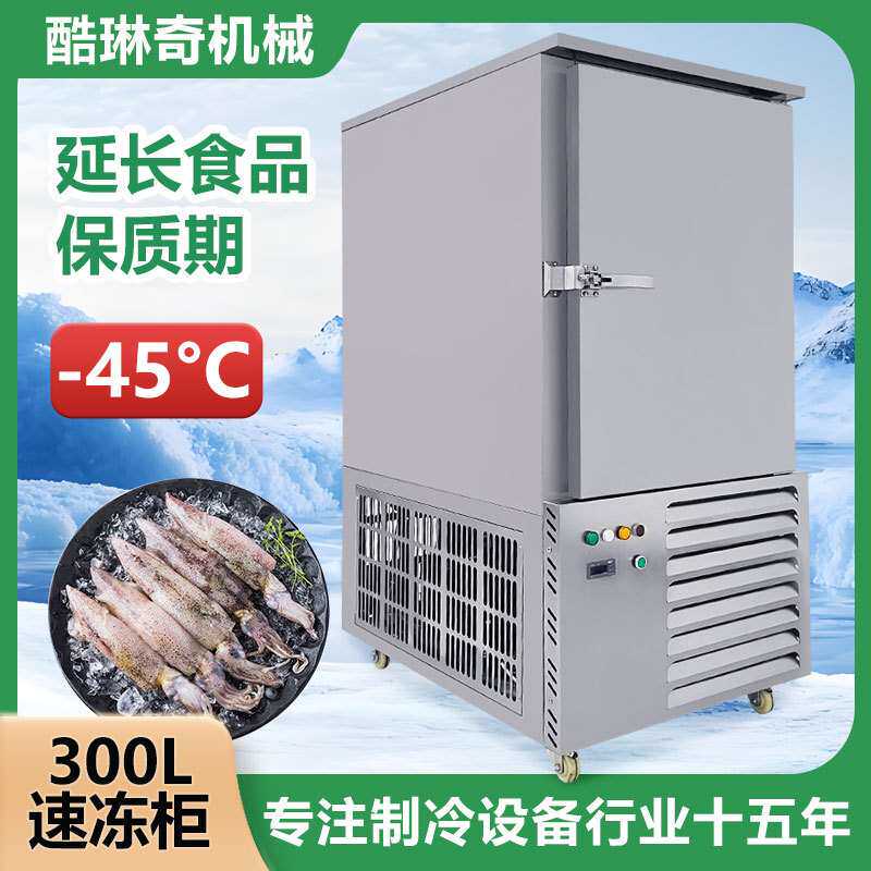ll猪蹄腌制急速冷冻速冻机脱皮五香肉土猪肉小型速冻柜现货直销
