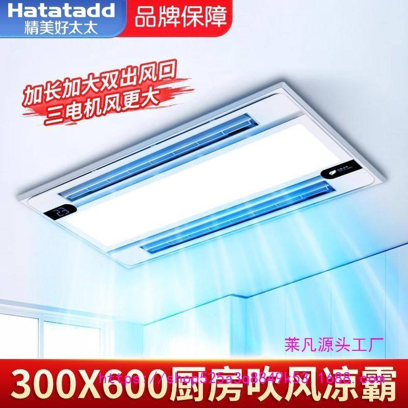 凉霸吹风照明二合一厨房风扇集成吊顶嵌入式三合一智能冷风机冷霸