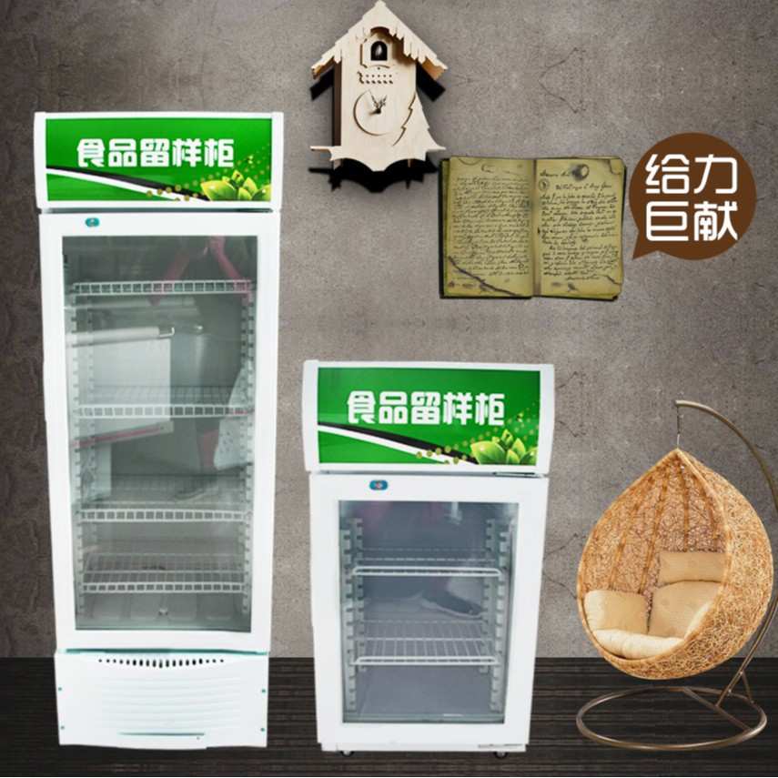 带锁学校幼儿园酒店食品留样柜超市商店冰箱展示柜保鲜柜啤酒冰吧