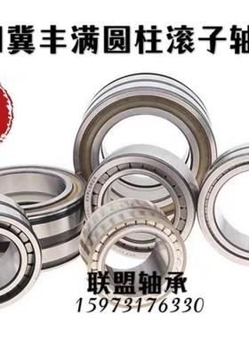 满装圆柱滚子轴承 SL045o048PP NNF5048NR 内径240外径360厚度160
