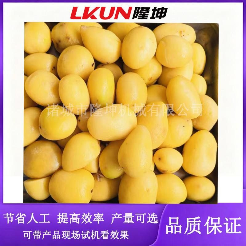 支持定制隆坤蒸汽去皮机 全自动土豆脱皮机 马铃薯深加工去皮设备