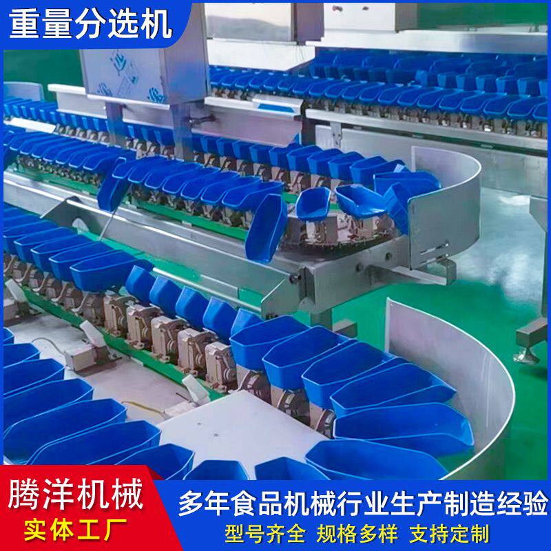 大闸蟹重量分选机 牡蛎料盒式分级机 海参检重设备厂家 分拣机