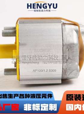 布赫BUCHER齿轮泵D-EP100/4.3S309液压泵D-EP100/3.5S309高压油泵