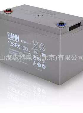 FIAMM非凡蓄电池2SLA200/G OPZV胶体免维护2V200AH太阳能蓄电池