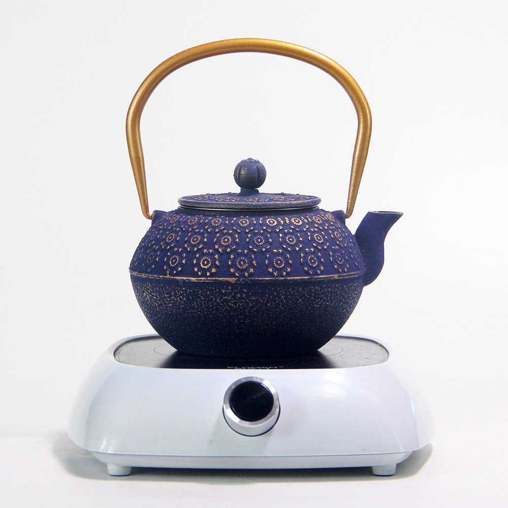 茶壶茶具套装 美式煮花茶咖啡烧水泡茶壶 1000cc铸铁铁壶一件代发