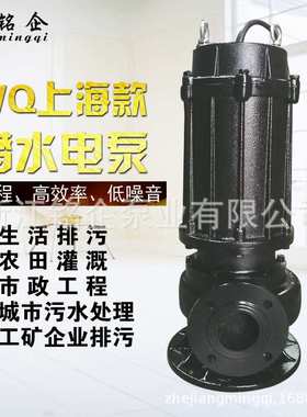 BWQ/BQW污水泵 上海款潜污泵 防爆潜水泵 建筑工程潜水排污泵