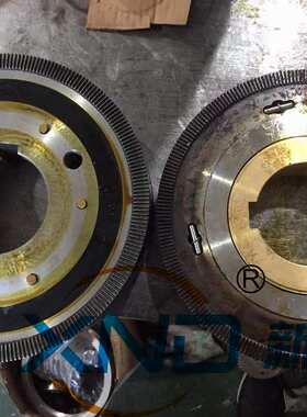 DLY5-160A带滑环牙嵌式电磁离合器工厂DLY5-160A/DC24V-87W轴孔85